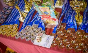 Более 200 спортсменов Подмосковья собрал юбилейный Кубок Деда Мороза по мас-рестлингу в Люберцах