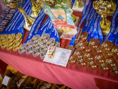 Более 200 спортсменов Подмосковья собрал юбилейный Кубок Деда Мороза по мас-рестлингу в Люберцах