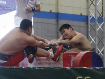 Выявлены абсолютные чемпионы Якутии по мас-рестлингу