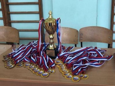 Памяти российского офицера И.Р. Чепунова посвятили турнир юные мас-рестлеры Чувашии